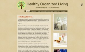 Healthy Organized Living website
