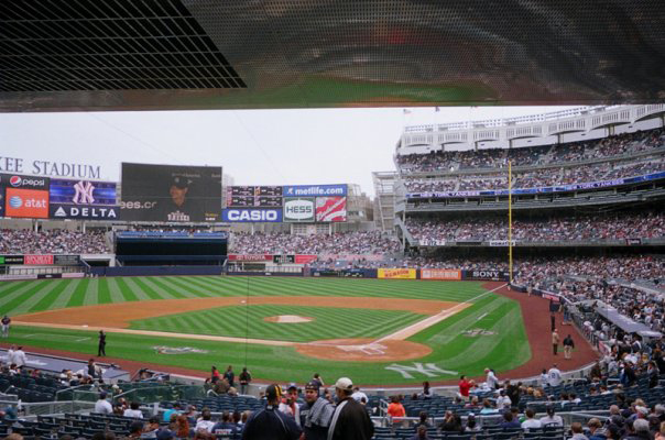 Yankee Stadium by Susan Newman