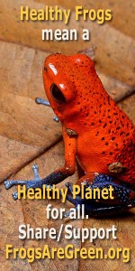 Frogs Are Green - Healthy Frogs = Healthy Planet outreach