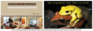 Award winning website design for Peter Balsam Associates by Susan Newman; award winning environmental poster on frog conservation by Susan Newman.