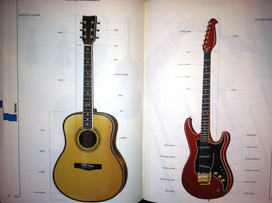 computer illustrated guitars in macmillan visual dictionary
