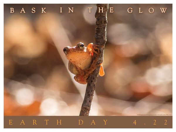 Earth Day Poster Design - Photograph by Wes Deyton
