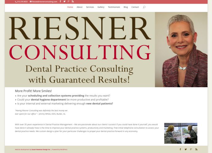 Riesner Consulting - new website design by Susan Newman