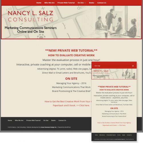 Salz Consulting - new website design by Susan Newman