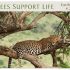 Trees-Support-Life-earth-day-poster thumbnail