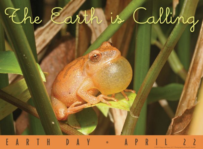 Earth is Calling - Earth Day poster with photograph by Richard Bartlett