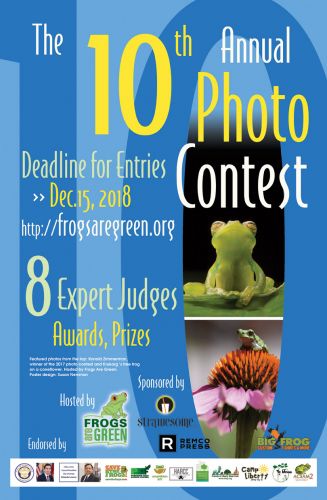 10th-photo-contest-poster-1200px