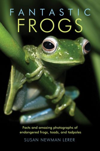 Fantastic Frogs by Susan Newman Lerer