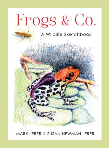 Frogs & Company by Mark Lerer and Susan Newman Lerer