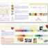 atta-oversized-trifold-brochure-design thumbnail