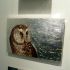 owl-painting-whotel-panepinto-galleries-2015 thumbnail