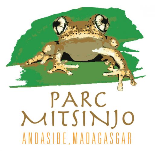 Parc Mitsinjo - Frog T-shirt Design