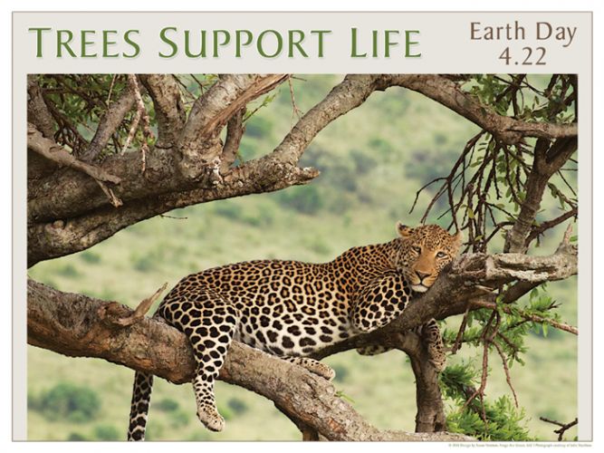 Trees Support Life - Earth Day poster with photograph by Julie Steelman