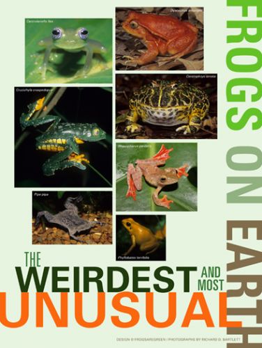 Weirdest and Most Unusual Frogs on Earth - poster with photographs by Richard Bartlett.