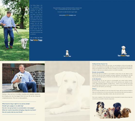 Brochure Folder design for Your Perfect Puppy