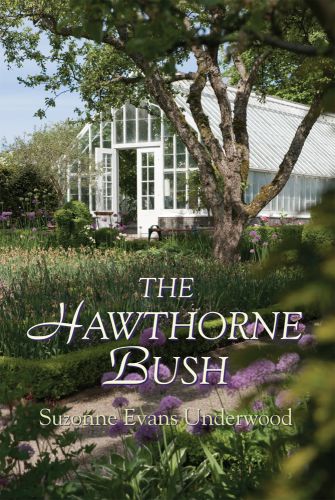 Hawthorne Bush by Suzonne Underwood