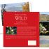 WILD-book-design thumbnail