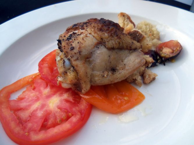Chicken and Tomatoes at Dinner in the Park
