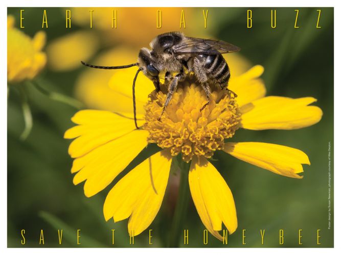 Save The Honeybees - Earth Day Poster - Photo by Wes Deyton, Design by Susan Newman