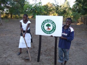 ecolibris planting trees in africa