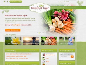 Barefoot Tiger Website
